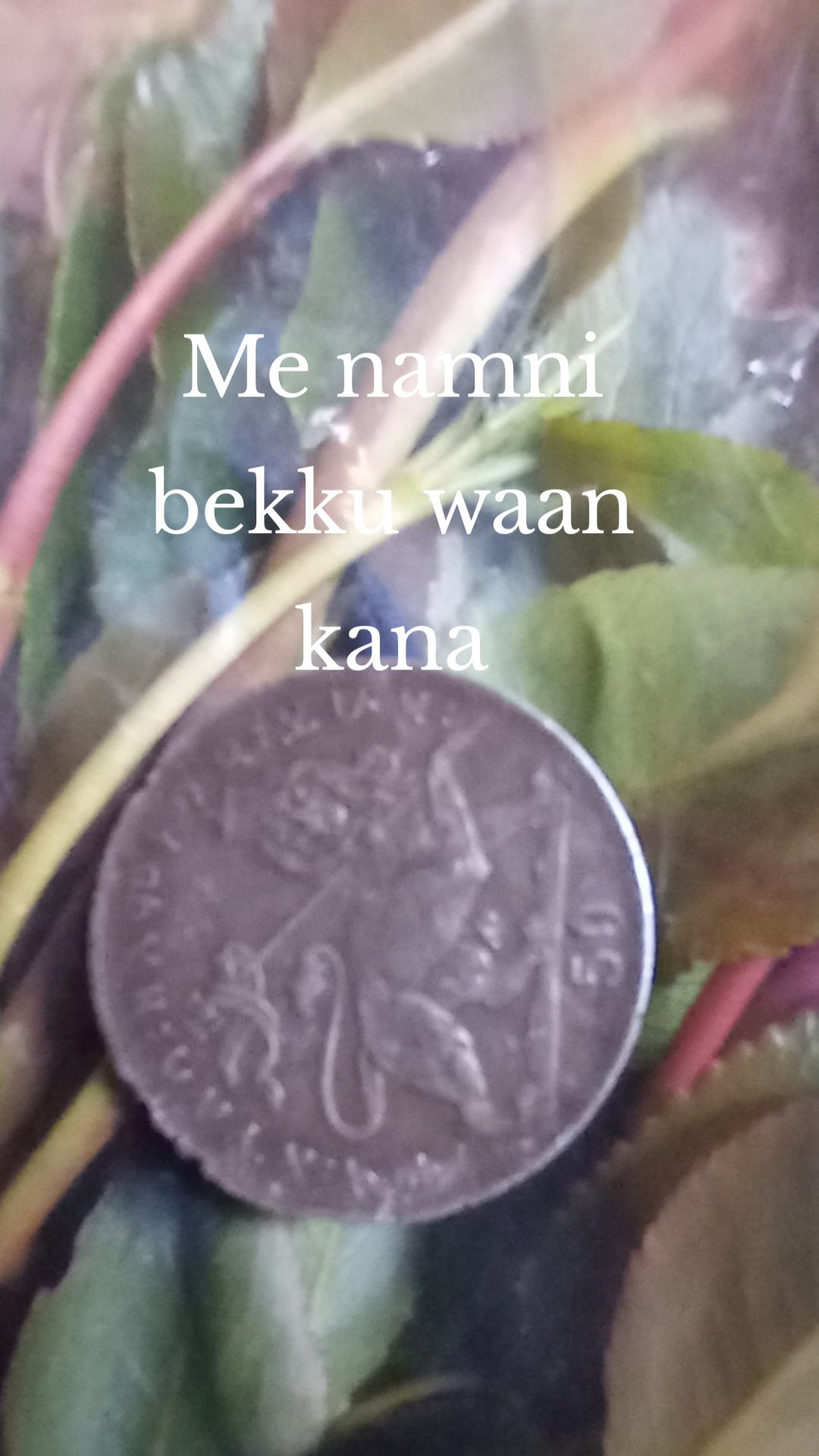 Me namni bekku waan kana